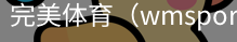 完美体育，WMsports，完美体育官方，完美体育平台，完美体育下载